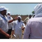 शेतकऱ्याच्या उपोषणाच्या इशाऱ्यानंतर तहसीलदार घटनास्थळी:खोपडा येथील पाणी प्रश्नावर तात्पुरता तोडगा, रामटेके यांचे आंदोलन स्थगित