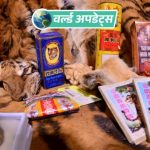 फेसबूकवरून वन्यजीव तस्करी?:अहवालात दावा- फेसबूक बनले अवैध वन्यजीव तस्करीचे सर्वात मोठे ऑनलाइन बाजार