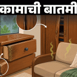 पावसात खराब होते लाकडी फर्निचर:आर्द्रतेच्या 12 चिन्हांकडे दुर्लक्ष करू नका, तज्ञांकडून जाणून घ्या ओलसरपणापासून कसे वाचवावे?